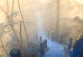 qingcheng_mountain_02_165.jpg